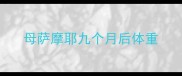 母萨摩耶九个月后体重