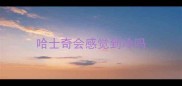 哈士奇会感觉到冷吗