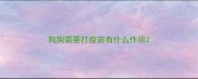 狗狗需要打疫苗有什么作用