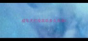 成年犬打疫苗后多久洗澡