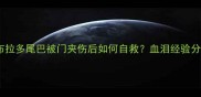 紧急处理指南拉布拉多尾巴被门夹伤后如何自救血泪经验分享给所有养狗人