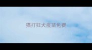 猫打狂犬疫苗免费