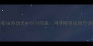 拉布拉多幼犬补钙时间表科学喂养指南与误区