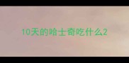 10天的哈士奇吃什么