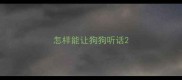 怎样能让狗狗听话