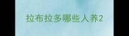 拉布拉多哪些人养