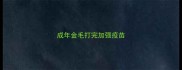 成年金毛打完加强疫苗