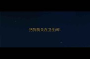 把狗狗关在卫生间