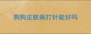狗狗皮肤病打针能好吗