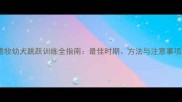 德牧幼犬跳跃训练全指南最佳时期方法与注意事项