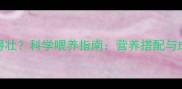 拉布拉多吃什么长得壮科学喂养指南营养搭配与成长关键附食谱