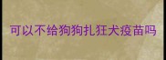 可以不给狗狗扎狂犬疫苗吗