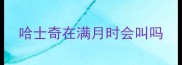 哈士奇在满月时会叫吗