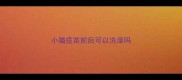 小猫疫苗前后可以洗澡吗