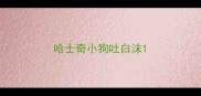 哈士奇小狗吐白沫