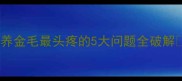 养金毛最头疼的5大问题全破解