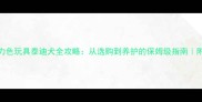 巧克力色玩具泰迪犬全攻略从选购到养护的保姆级指南附干货