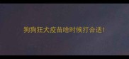 狗狗狂犬疫苗啥时候打合适