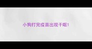 小狗打完疫苗出现干呕