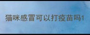 猫咪感冒可以打疫苗吗