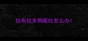 拉布拉多狗呕吐怎么办