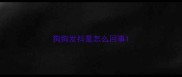 狗狗发抖是怎么回事