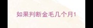 如果判断金毛几个月