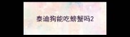 泰迪狗能吃螃蟹吗
