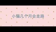 小猫几个月会走路