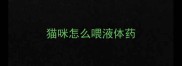 猫咪怎么喂液体药
