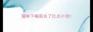 猫咪下嘴唇长了红点小泡
