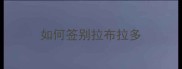 如何签别拉布拉多