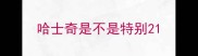 哈士奇是不是特别2