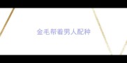 金毛帮着男人配种