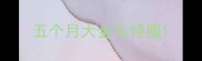五个月大金毛特瘦