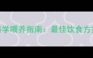 拉布拉多犬科学喂养指南最佳饮食方案与营养配比