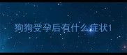 狗狗受孕后有什么症状
