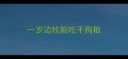 一岁边牧能吃干狗粮