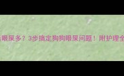 疫苗后眼屎多3步搞定狗狗眼屎问题附护理全攻略