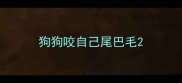 狗狗咬自己尾巴毛