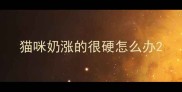 猫咪奶涨的很硬怎么办