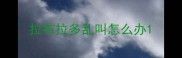 拉布拉多乱叫怎么办