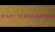 两个月的狗狗呕吐怎么办5大原因与应对措施全附护理指南