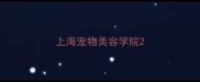 上海宠物美容学院