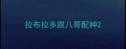 拉布拉多跟八哥配种