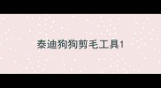 泰迪狗狗剪毛工具