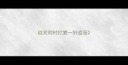 幼犬何时打第一针疫苗