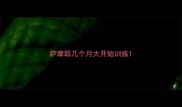萨摩耶几个月大开始训练
