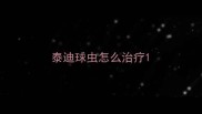 泰迪球虫怎么治疗
