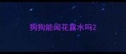 狗狗能闻花露水吗